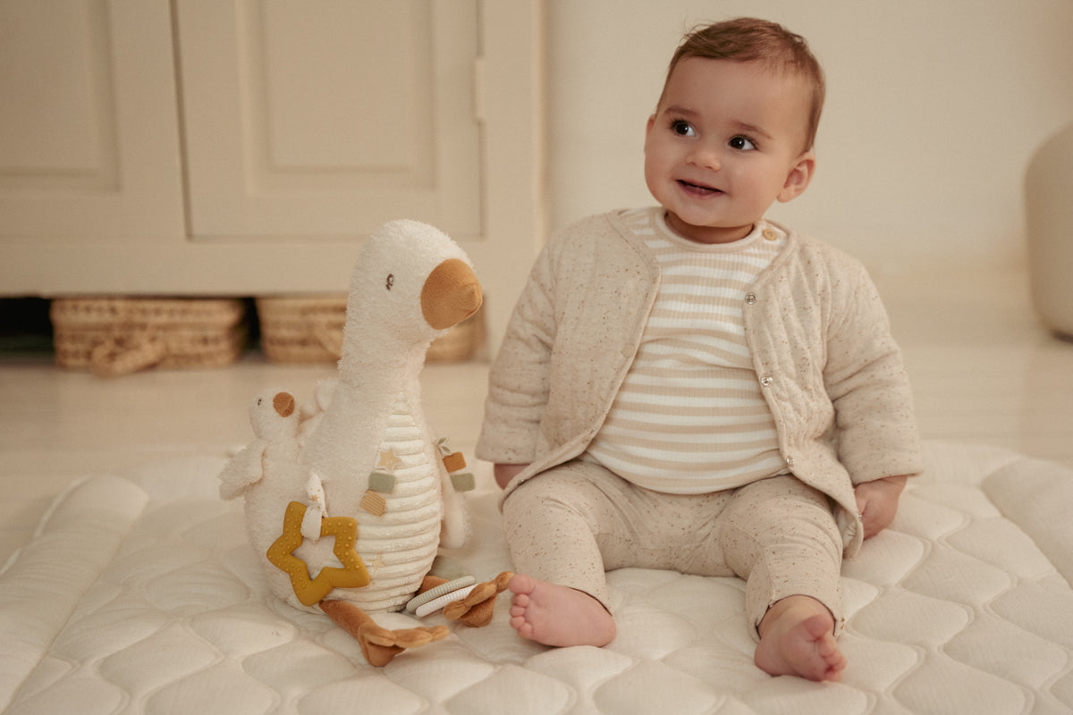 Activiteitenknuffel Little Goose