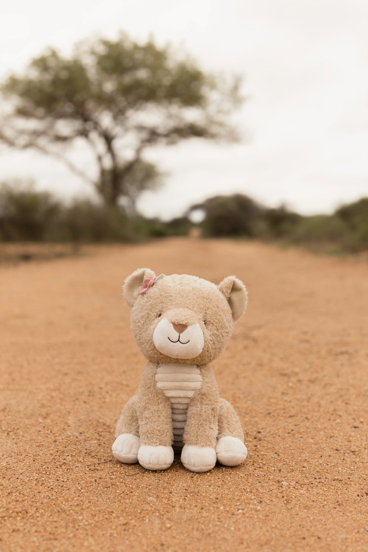 Knuffel leeuwin 17 cm