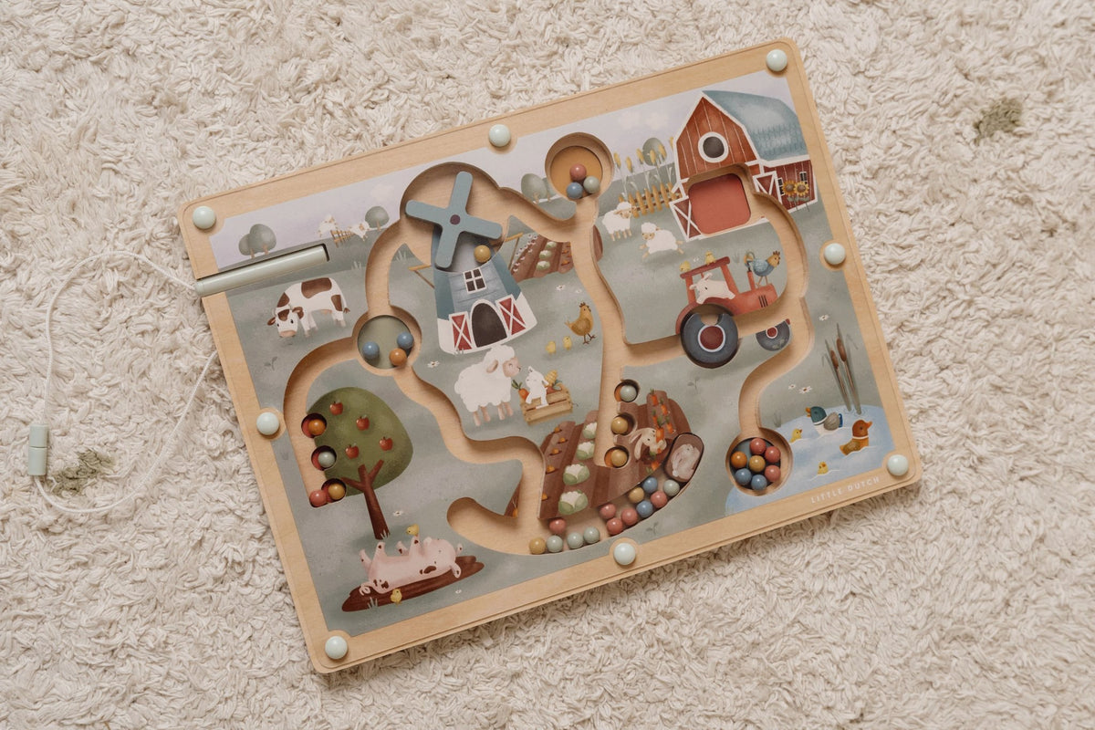 Magnetisch doolhof Little Farm