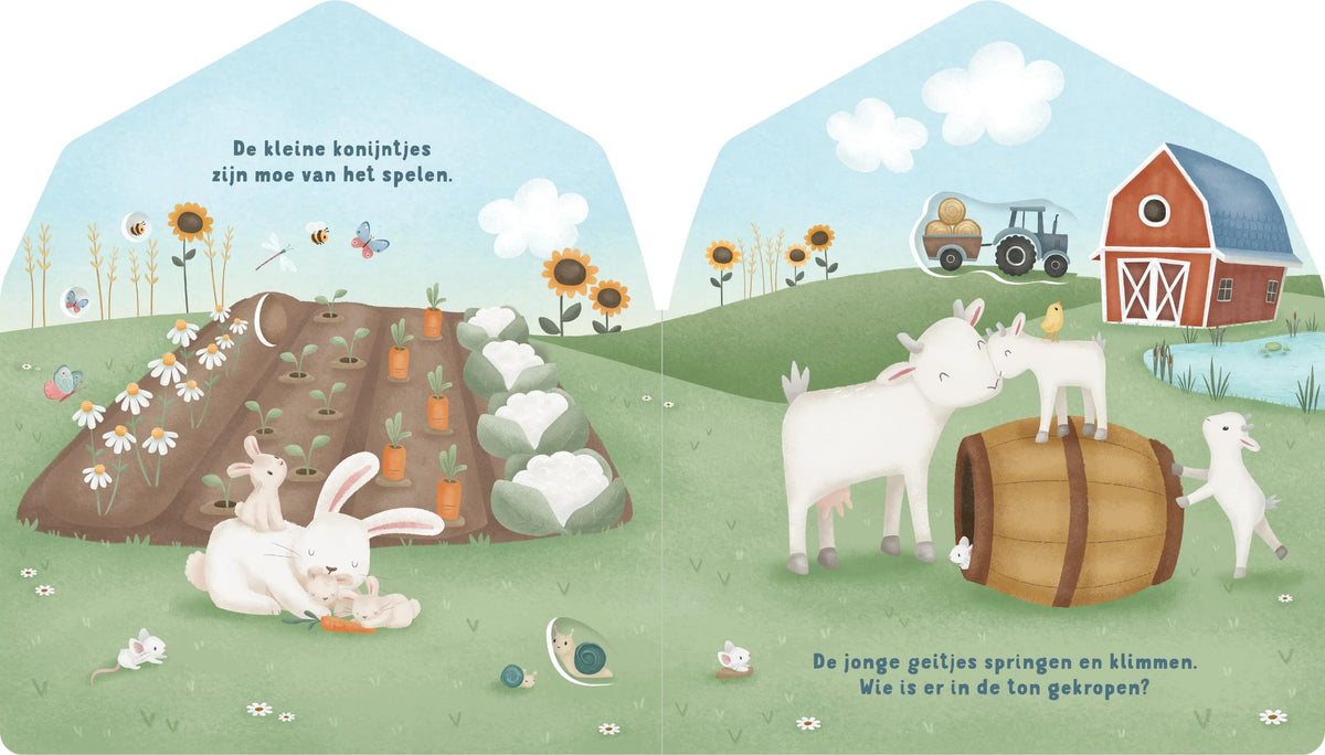 Mijn doorkijkboek - boerderij