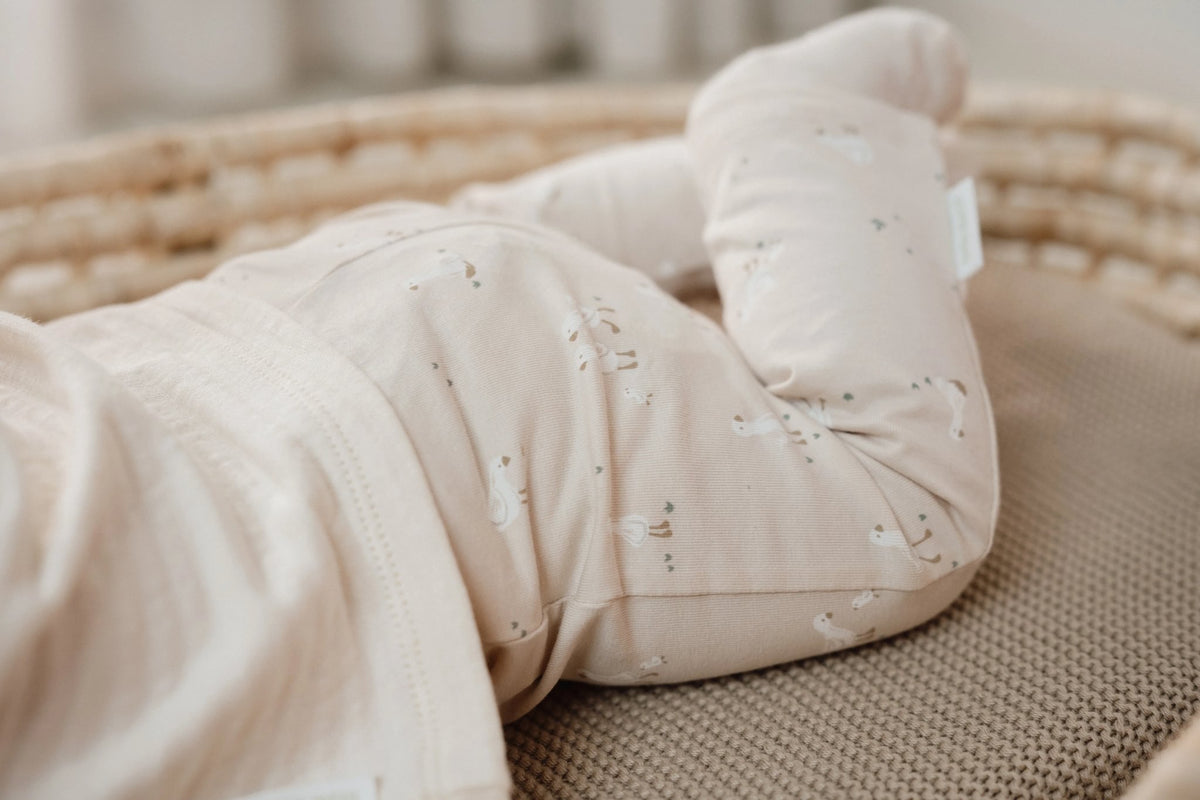 Legging beige Little Goose