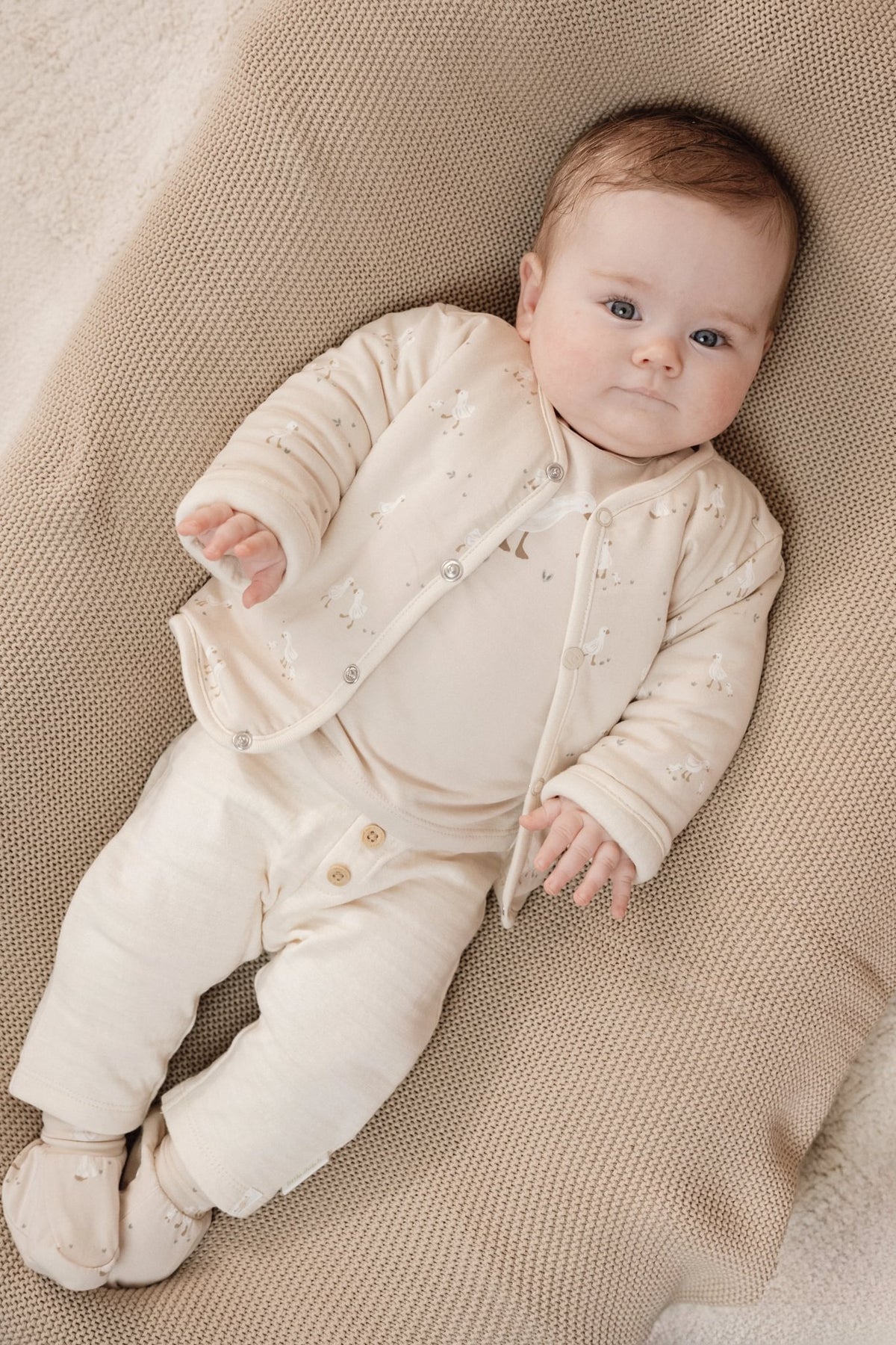Slofjes Little Goose